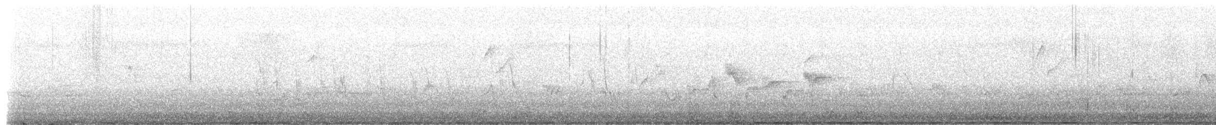 Western Flycatcher - ML637528844