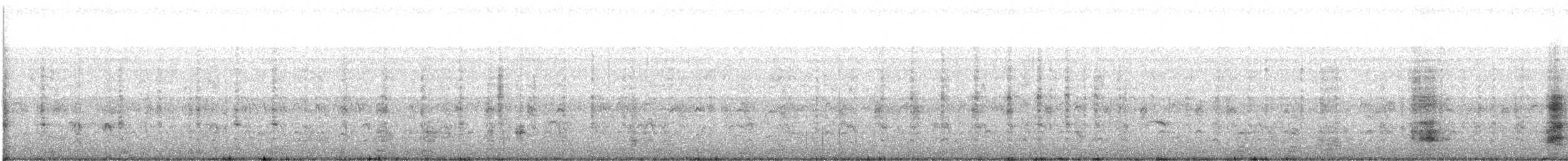 Western Cattle-Egret - ML637529092