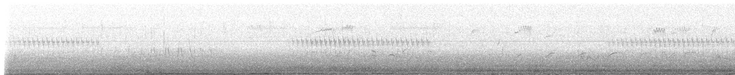 Northern Waterthrush - ML637529098