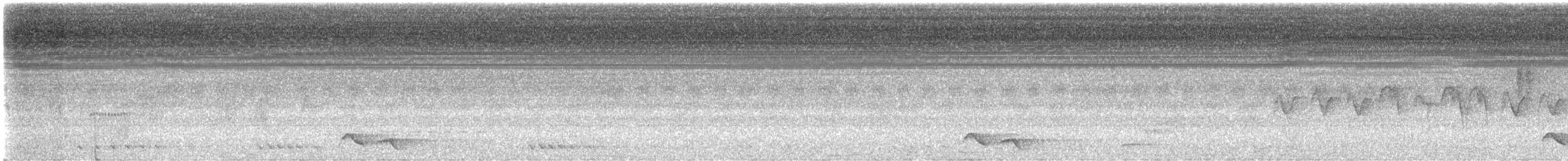 Black-necklaced Scimitar-Babbler - ML637529423