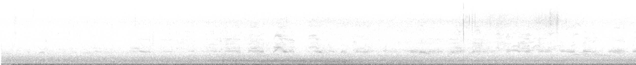 Bonaparte's Gull - ML637530307