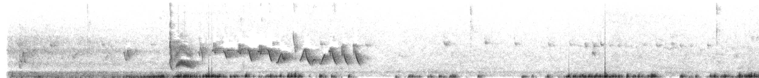 Cassin's Kingbird - ML637531042