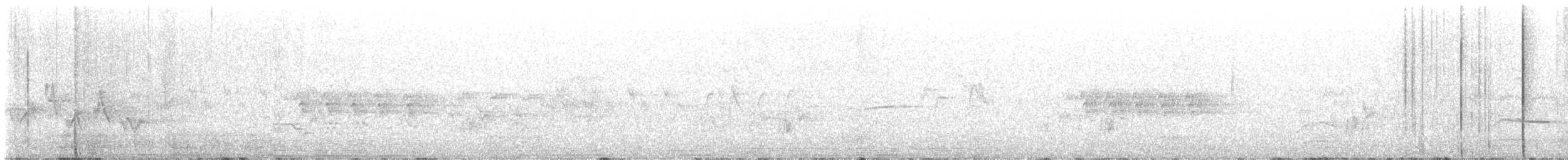 American Goshawk - ML637531069