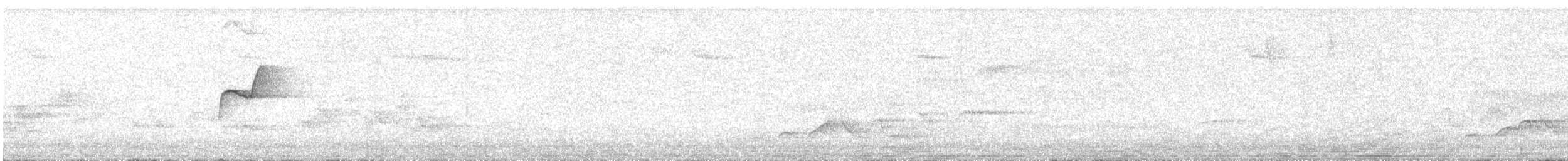 Western Flycatcher - ML637532061