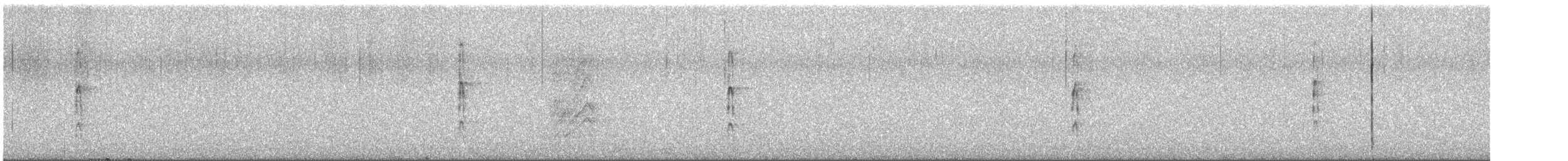 Ladder-backed Woodpecker - ML637532546