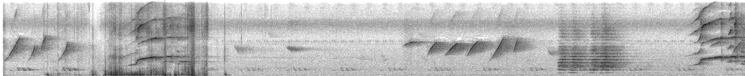 Common Green-Magpie - ML637532572