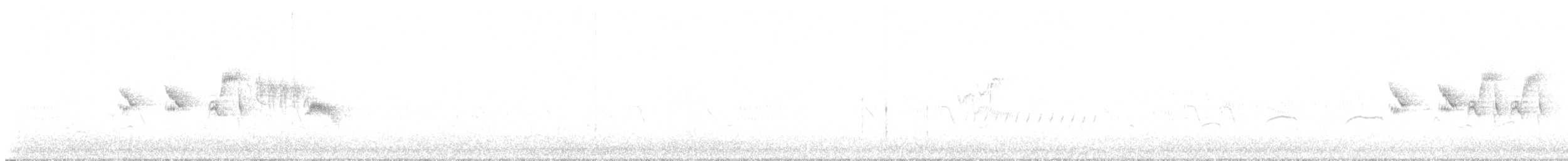 Цагаан хүзүүт хөмрөг - ML637532574