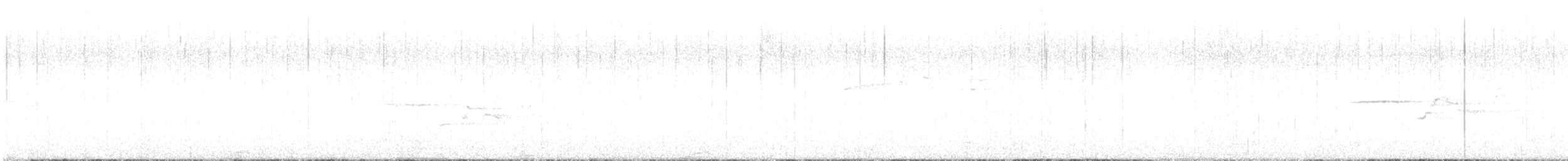 Einsiedler-Musendrossel - ML637533672