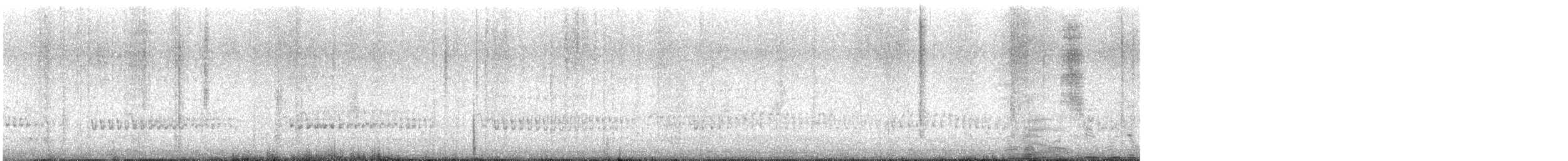 Rotschnabelalk - ML637533693