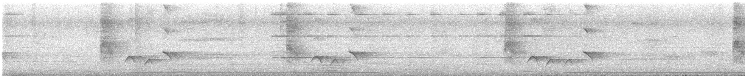 Kara Drongo - ML637534197