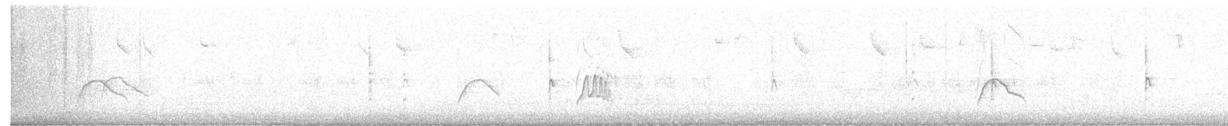 Moucherolle à longs brins - ML637536874