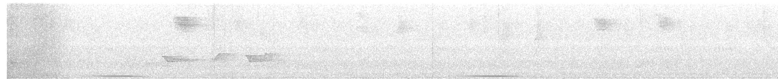 Ruddy Quail-Dove - ML637536980