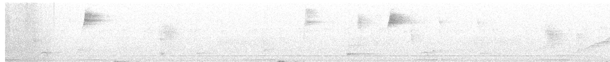 Short-tailed Antthrush - ML637537197