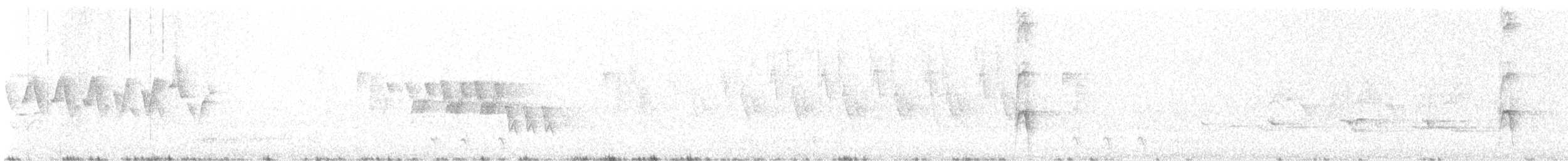 ノドグロアメリカムシクイ - ML637540184