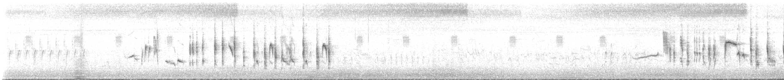 Occhiocotto di Ménétries - ML637542756
