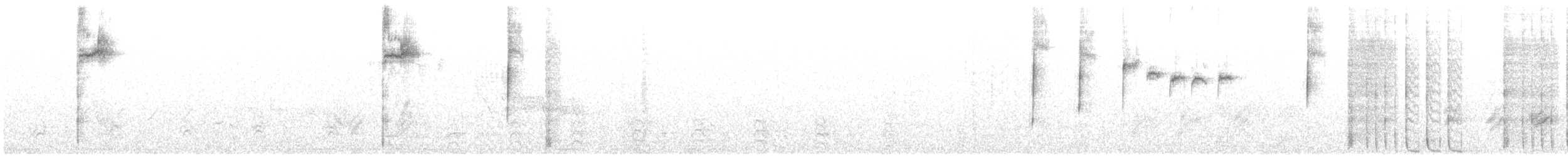 Rivoli's Hummingbird - ML637543227