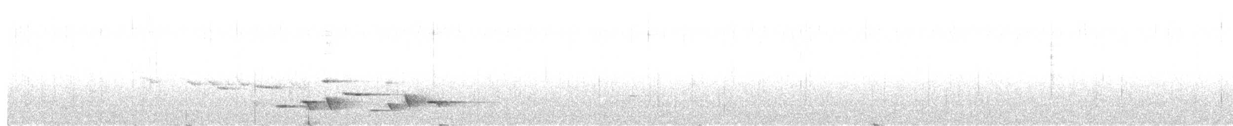 New Zealand Bellbird - ML637543284