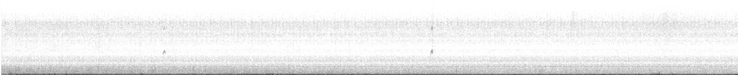Red Phalarope - ML637543834