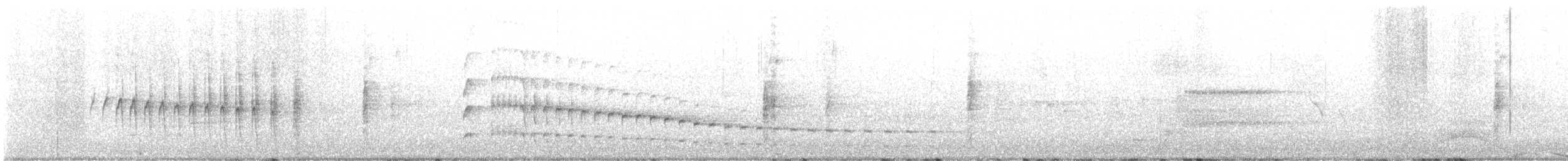 chřástal karolínský - ML637544138