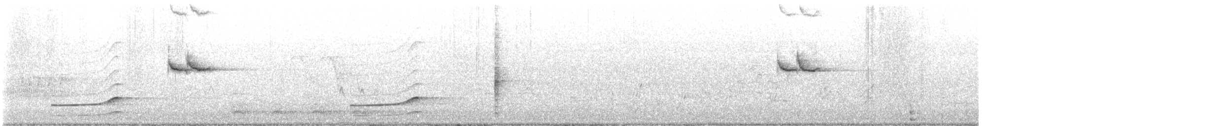 chřástal karolínský - ML637544139