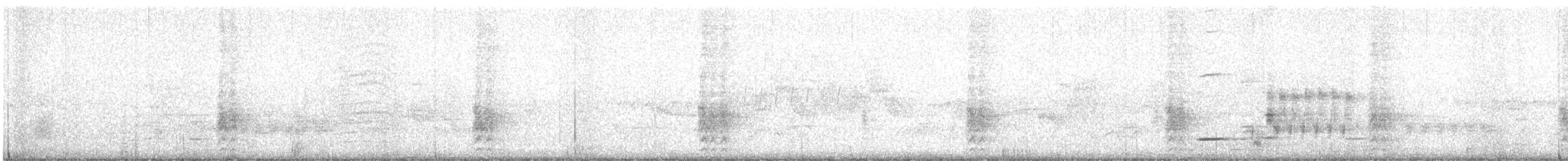 Common Grackle - ML637545769