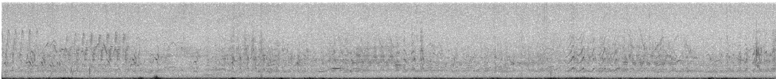 Semipalmated Sandpiper - ML637545896