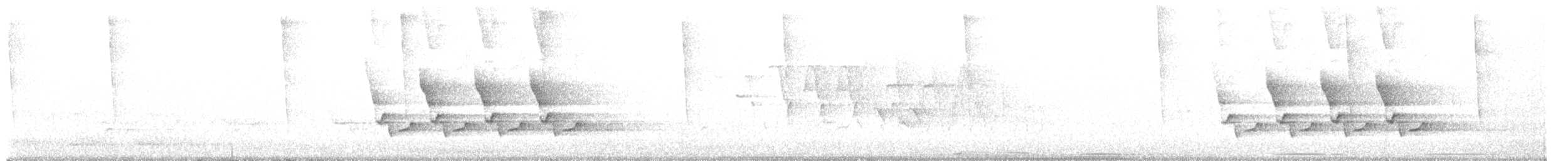střízlík karolínský - ML637546756