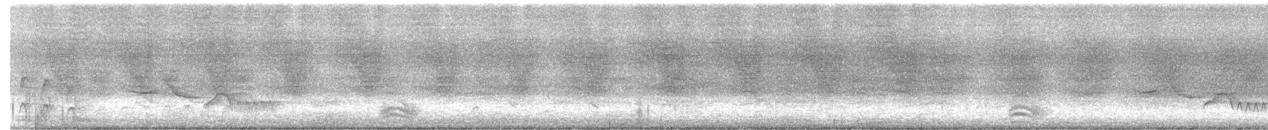 null - ML637547002