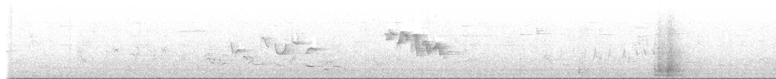 Eurasian Golden Oriole - ML637549061