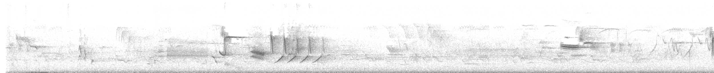 Toquí Flanquirrufo - ML637549146