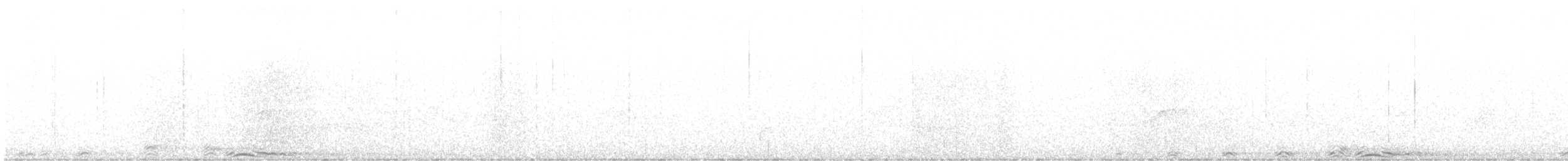 Cárabo Norteamericano - ML637549535