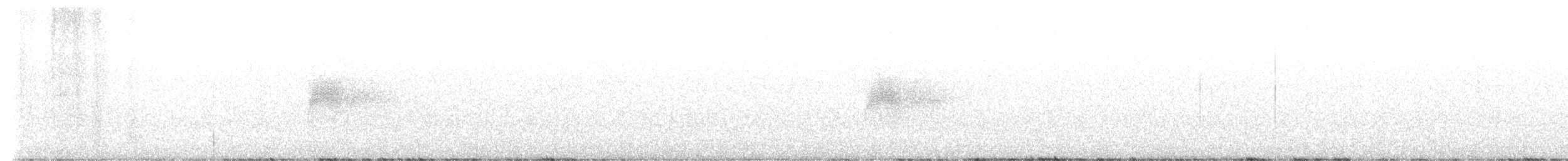 Chocha Americana - ML637549631