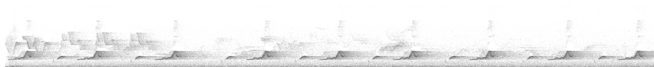 Chotacabras Cuerporruín Norteño - ML637549676