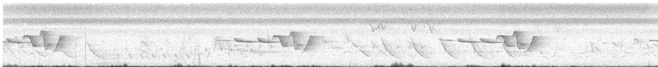 Swainson's Warbler - ML637552096