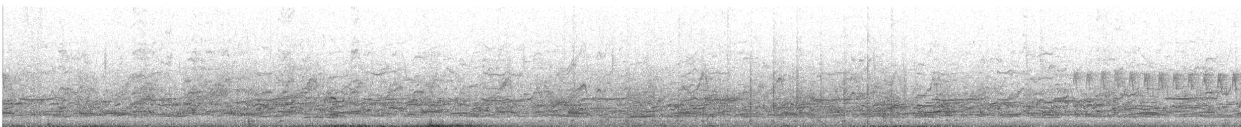 Cormorano - ML637553476