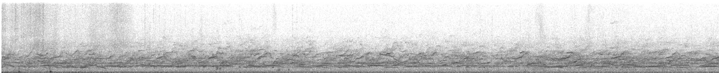 Cormorano - ML637553506