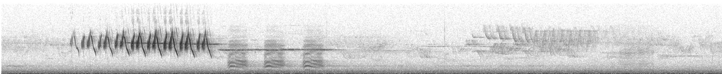 Palm Warbler (Yellow) - ML637554290