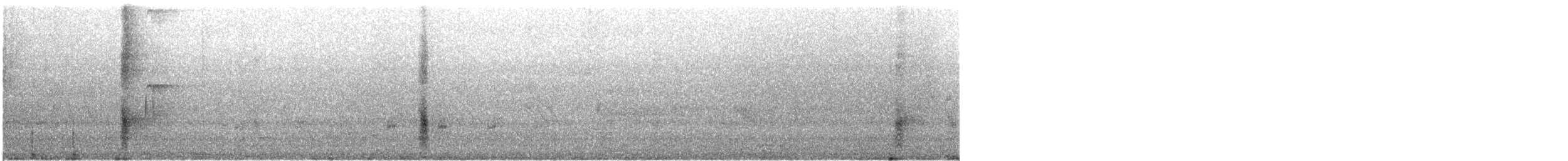 Common Grackle (Bronzed) - ML637554404