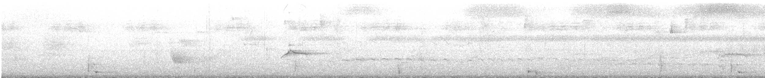 Piratic Flycatcher - ML637555322