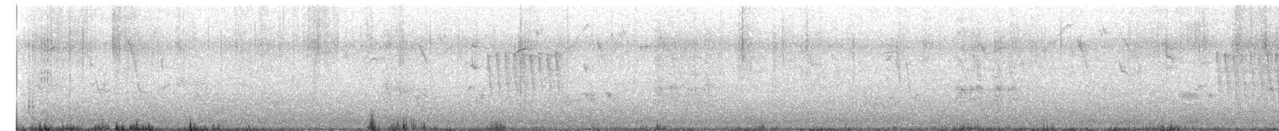 Neotropic Cormorant - ML637556049