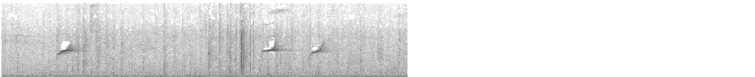 Slaty Antwren - ML637556339