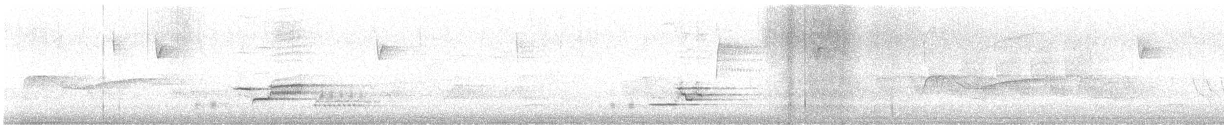 Wood Thrush - ML637556701
