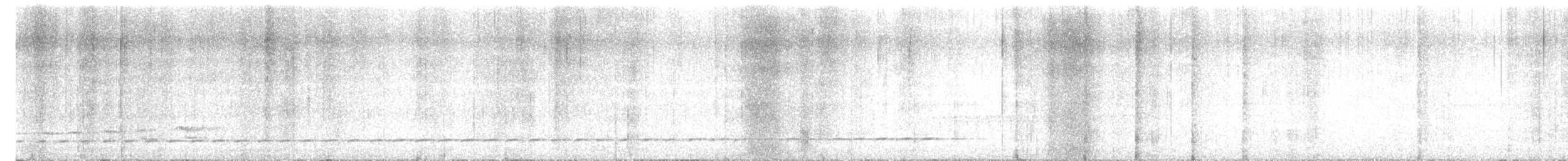 Such's Antthrush - ML637556820