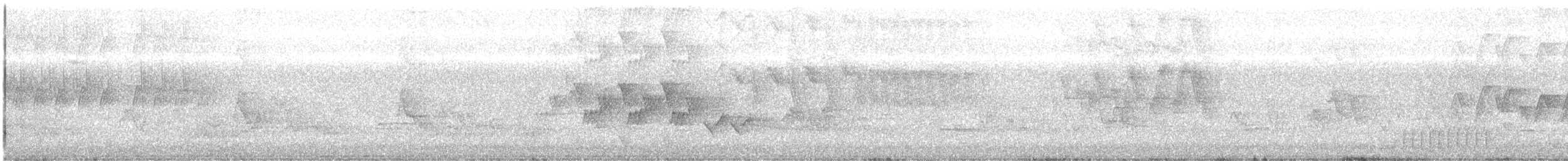 Mourning Warbler - ML637557211