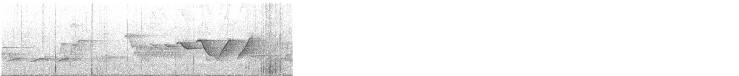 Swainson's Warbler - ML637558258