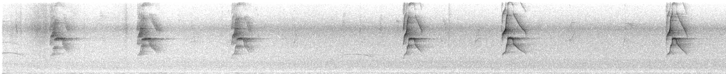 Social Flycatcher - ML637559578