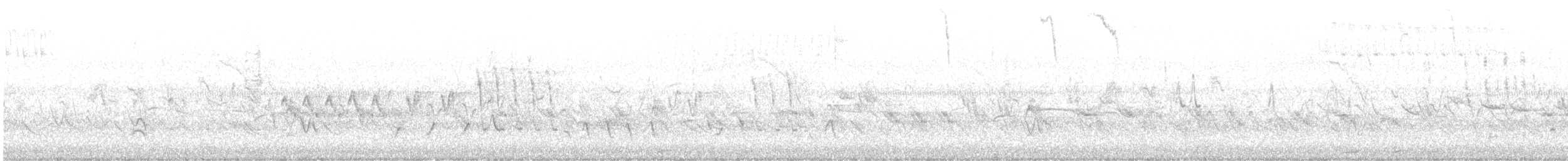 passerine sp. - ML637559914