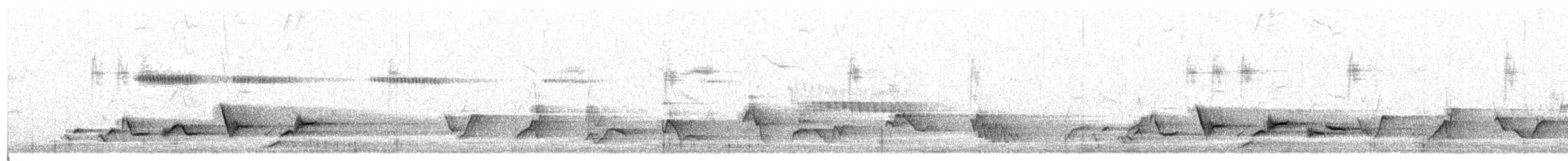 Scott's Oriole - ML637560912