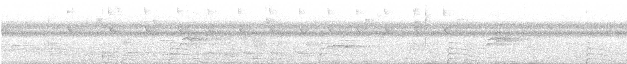 Blaulappenhokko - ML637562522