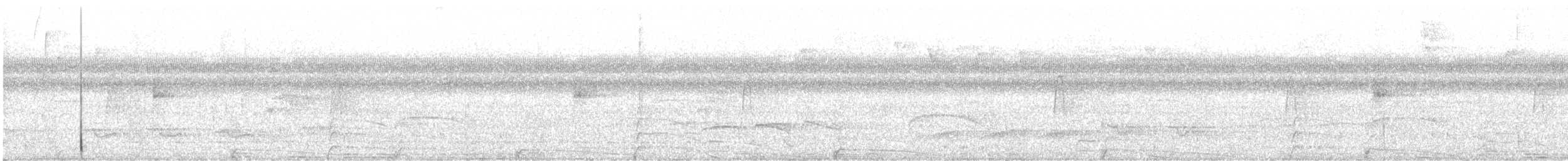 Blaulappenhokko - ML637562591